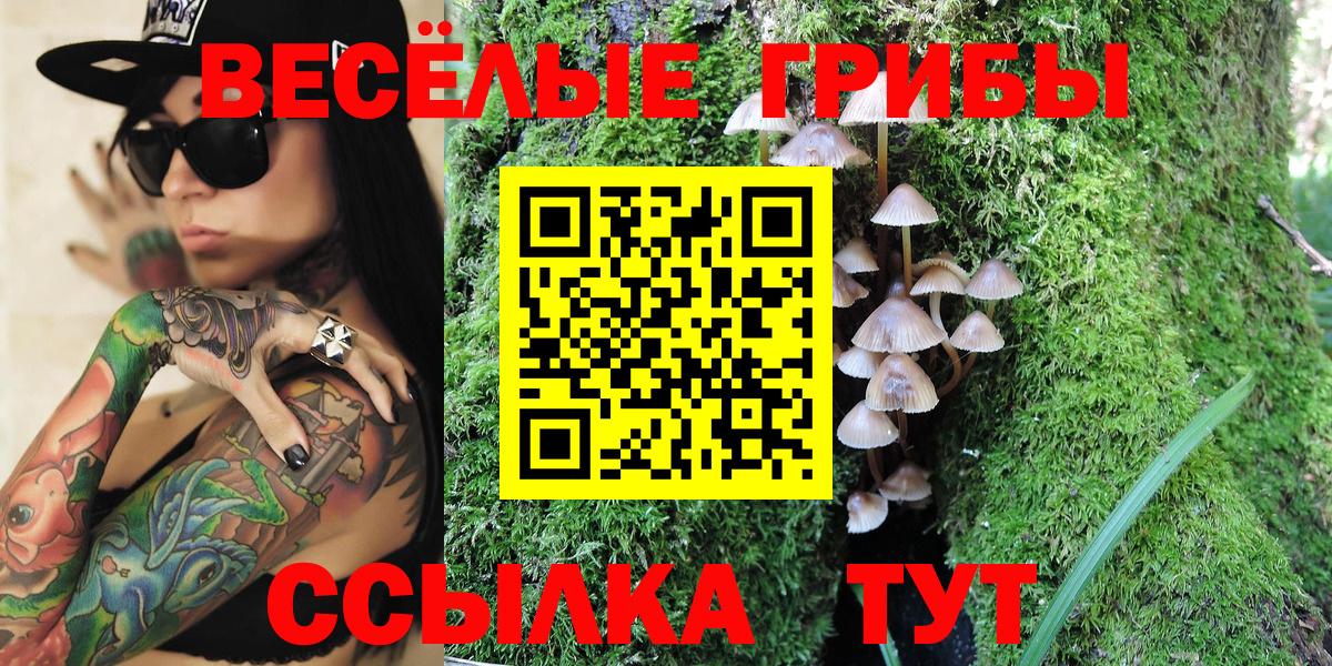 Псилоцибиновые грибы мицелий  Вход с VPN  закладки  Ногинск 