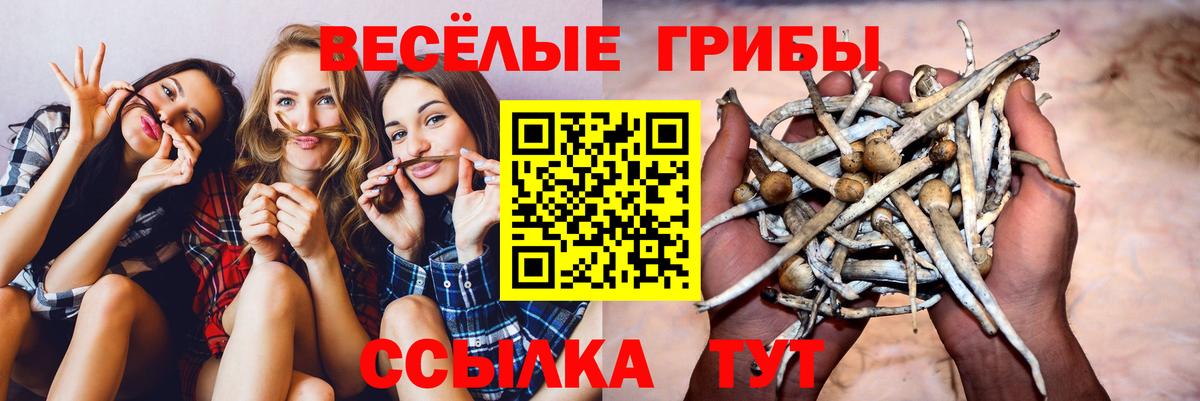 Галлюциногенные грибы прущие грибы Ногинск